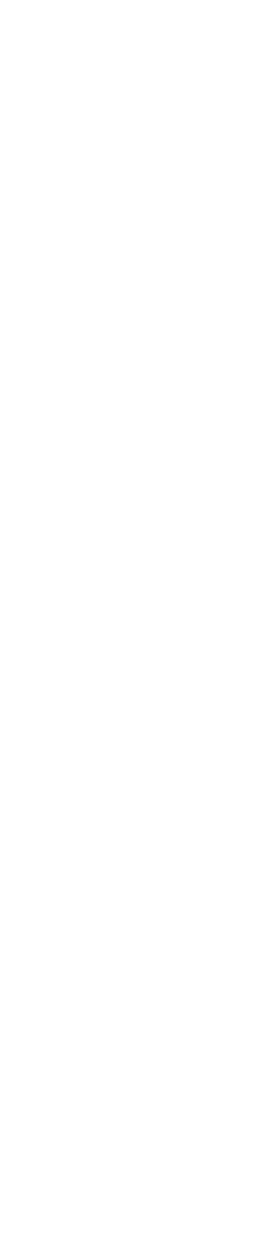 Alena Steinke Slow Fashion Berlin Logo
